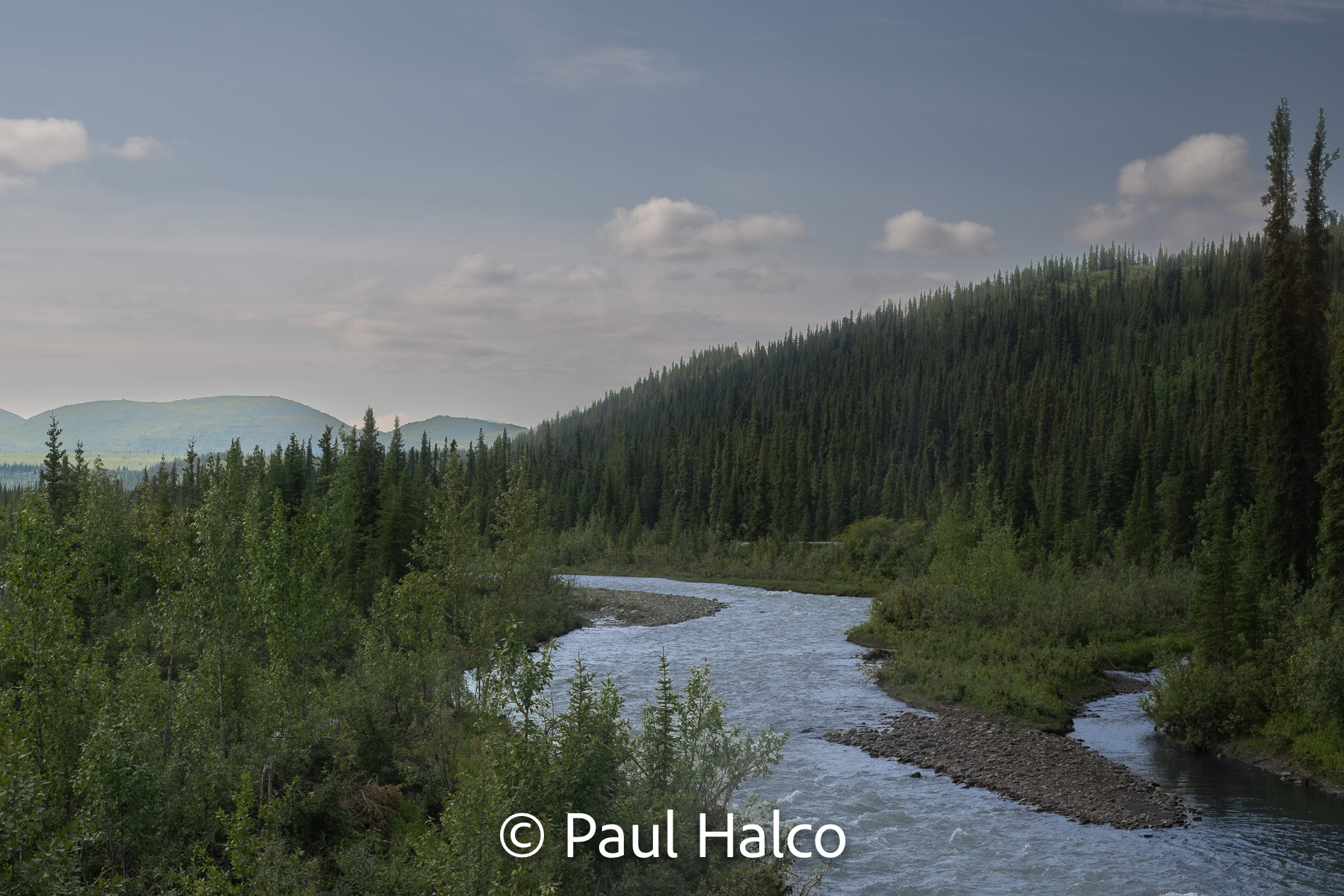 Paul Halco - Denali NP-16